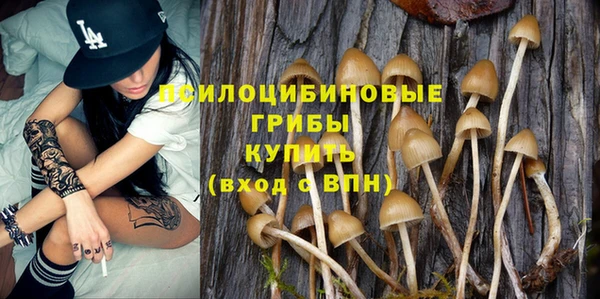 каннабис Баксан